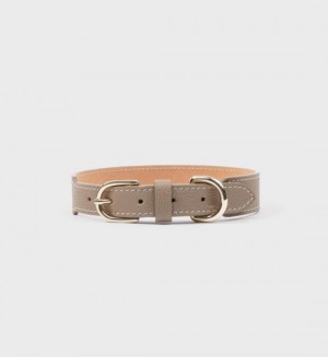 Men's Sporty And Rich Dog Collar Small Leather Goods Gold | pxUk4Kl8Dmb