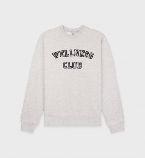 Men's Sporty And Rich Wellness Club Flocked Crewneck Sweatshirts Grey | JR2tbgBg475