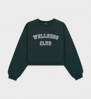 Women's Sporty And Rich Wellness Club Flocked Cropped Crewneck Sweatshirts White | cGJWYZ75k32