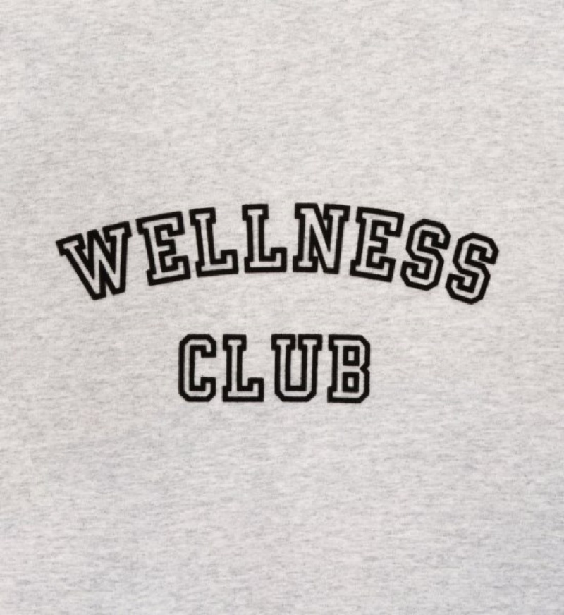 Women's Sporty And Rich Wellness Club Flocked Crewneck Sweatshirts Grey | WhoFN1e16Jg