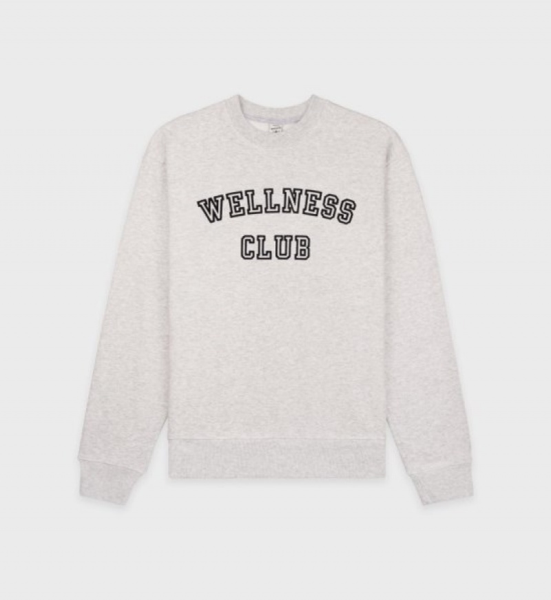 Women\'s Sporty And Rich Wellness Club Flocked Crewneck Sweatshirts Grey | WhoFN1e16Jg